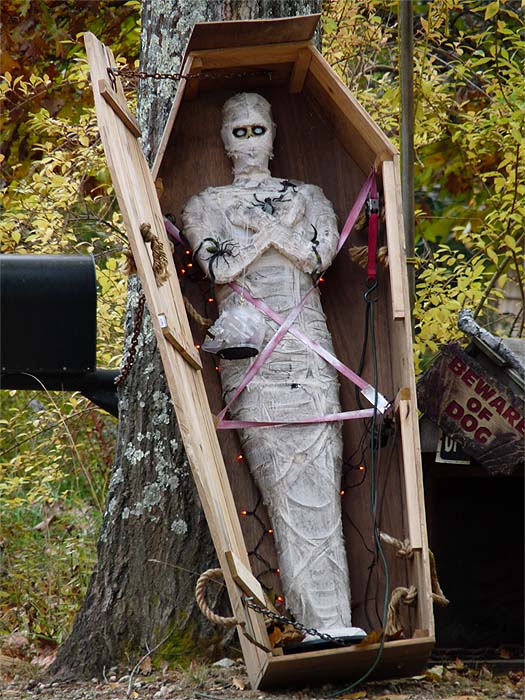 Halloween mummy in a coffin