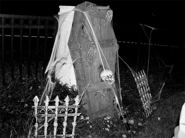 Halloween coffin standing upright