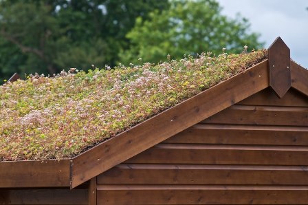 Eco roof - Parr Lumber